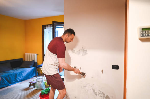 Best Black Mold Removal  in Weweantic, MA
